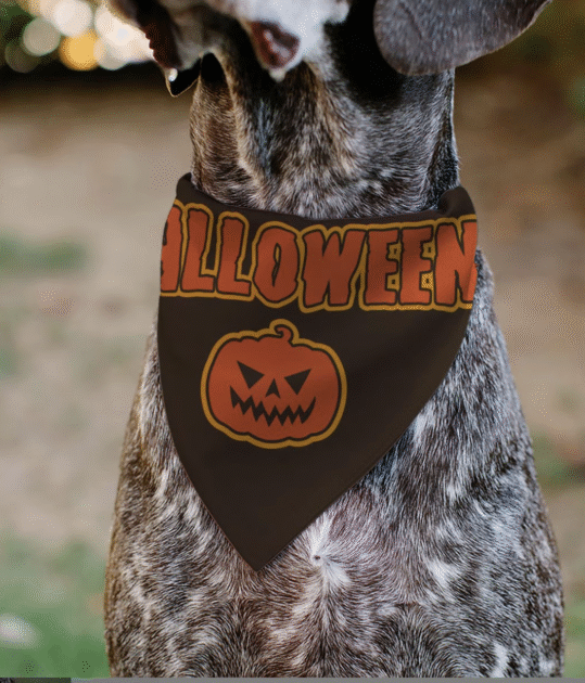 Halloween Dog Bandana